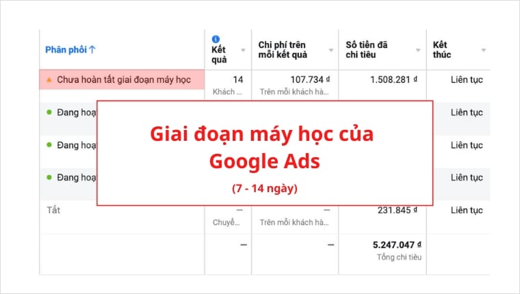 Google thường mất 7 - 14 ngày tìm khách hàng mục tiêu